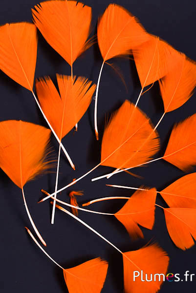 Verenblaadjes - 6-8 x 3-4 cm - oranje